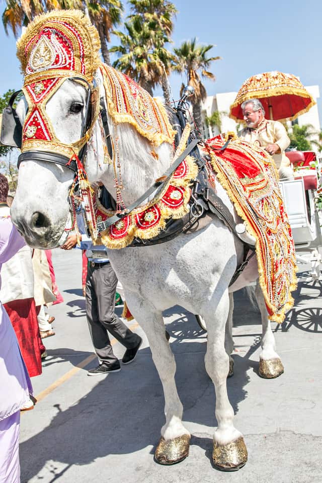 Baraat at Newport Beach Marriott | Unique Indian Weddings | The Marigold Company