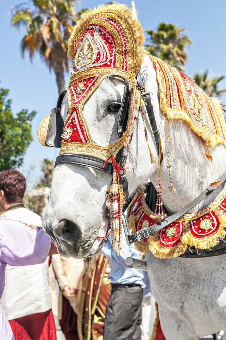 Vidhi and Datesh Gujarati Indian Wedding at Newport Beach Marriott | Beach Weddings | Detail Photos | Indian Weddings | Baraat Horse