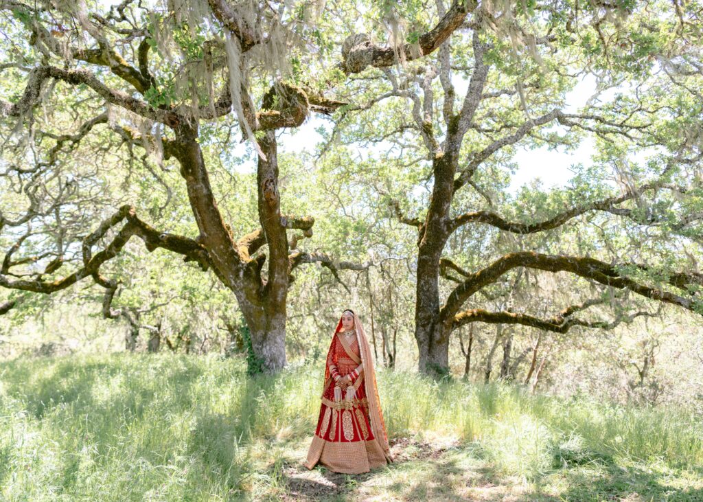 The Marigold Company