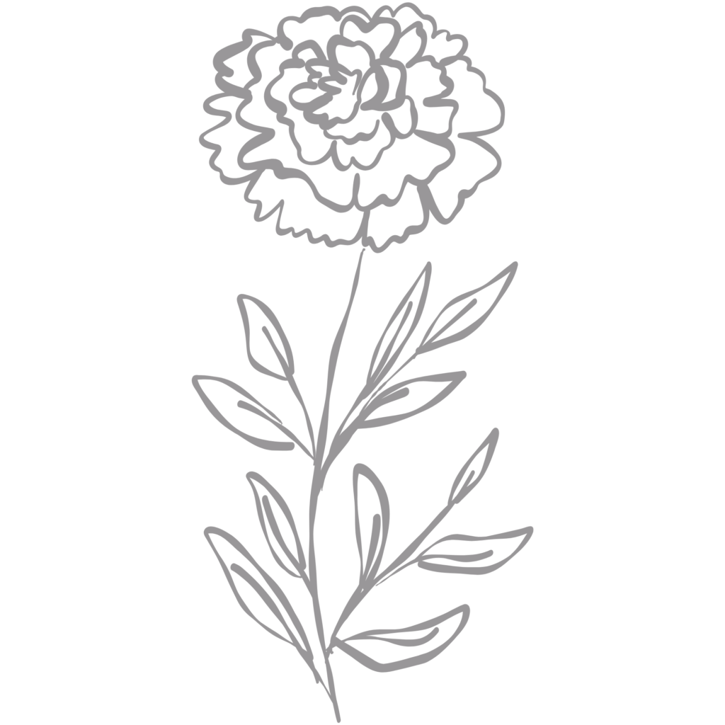 The Marigold Co. Logo