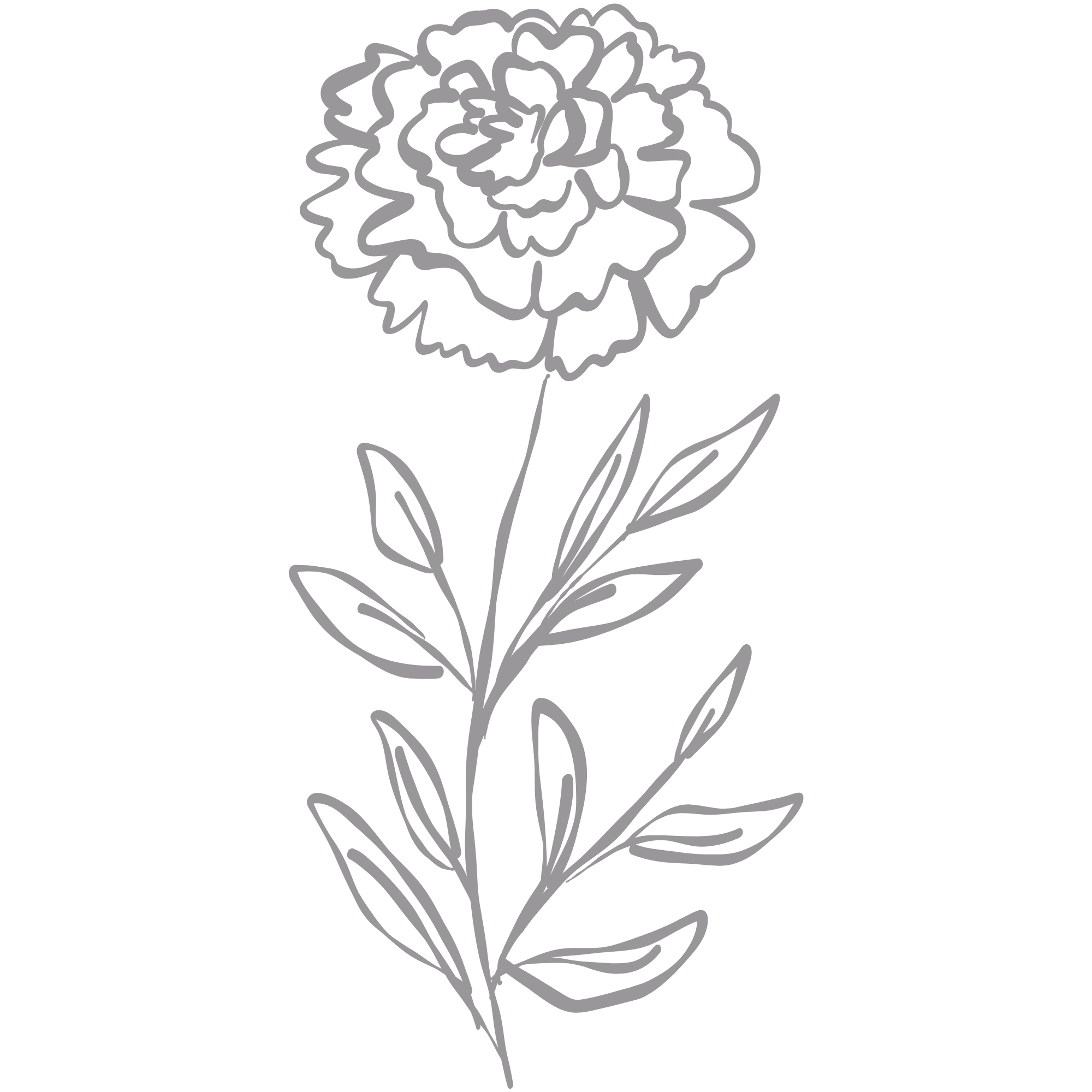 The Marigold Co. Logo